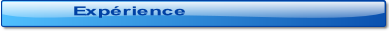 wp190bfcf1.png